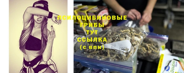 амф Абдулино
