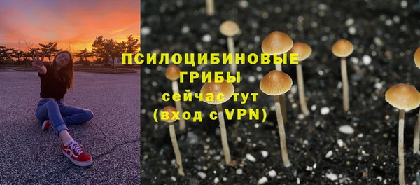 амф Абдулино