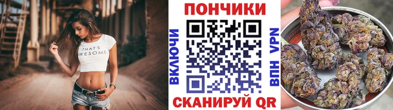 закладка  Нахабино  Марихуана индика 